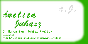 amelita juhasz business card
